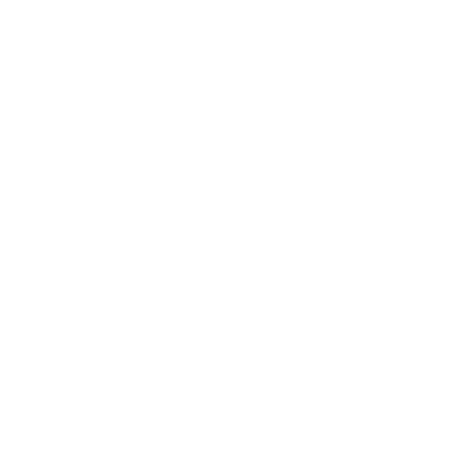 air-2024-icon-white